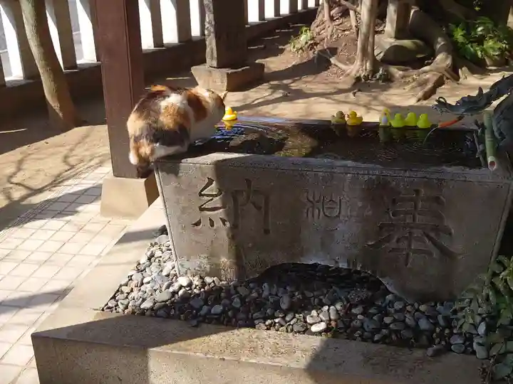 柏諏訪神社の動物