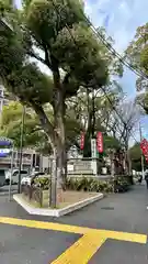 若一神社(京都府)