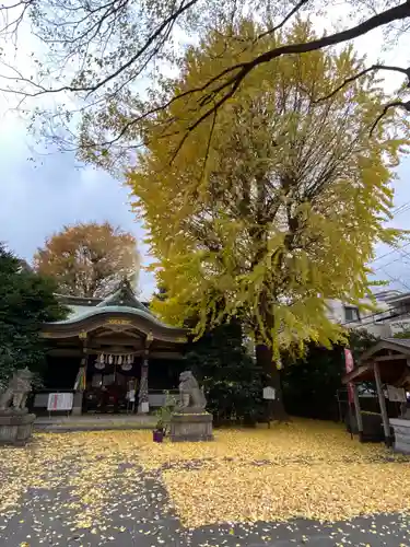 大鳥神社(東京都)