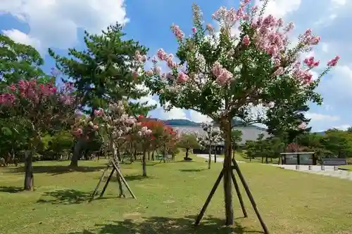 東南院（東大寺本坊）の庭園