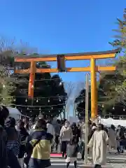 川越氷川神社の鳥居