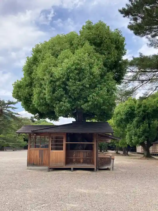 橿原神宮(奈良県)