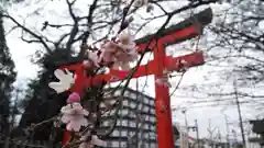 平野神社の鳥居
