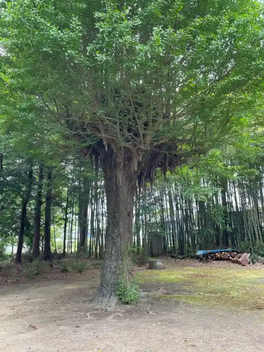 神岡稲荷神社の{uncategorized: "未分類", other: "その他", undefined: "問題あり", building: "その他建物", grave: "お墓", sacred_gate: "鳥居", guardian: "狛犬", statue: "像", buddha: "仏像", history: "歴史", nature: "自然", garden: "庭園", animal: "動物", pagoda: "塔", temizu: "手水舎", mountain_gate: "山門・神門", sanctuary: "本殿・本堂", subordinate: "末社・摂社", art: "芸術", scenery: "景色", jizo: "地蔵", ema: "絵馬", goshuin: "御朱印", omikuji: "おみくじ", items: "授与品その他", amulet: "お守り", goshuincho: "御朱印帳", eats: "食事", festival: "お祭り", votive_dance: "神楽", shichigosan: "七五三参", wedding: "結婚式", experience: "体験その他", initially: "初詣", around: "周辺", anti_infection: "感染症対策"}