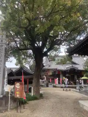 寳珠院（常楽寺）のその他建物