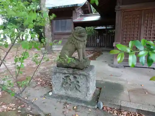 菊池神社の狛犬