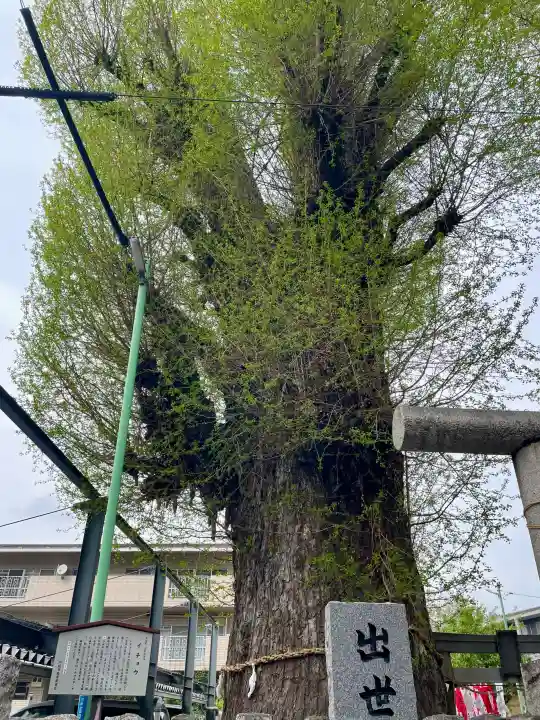 出世稲荷神社の{uncategorized: "未分類", other: "その他", undefined: "問題あり", building: "その他建物", grave: "お墓", sacred_gate: "鳥居", guardian: "狛犬", statue: "像", buddha: "仏像", history: "歴史", nature: "自然", garden: "庭園", animal: "動物", pagoda: "塔", temizu: "手水舎", mountain_gate: "山門・神門", sanctuary: "本殿・本堂", subordinate: "末社・摂社", art: "芸術", scenery: "景色", jizo: "地蔵", ema: "絵馬", goshuin: "御朱印", omikuji: "おみくじ", items: "授与品その他", amulet: "お守り", goshuincho: "御朱印帳", eats: "食事", festival: "お祭り", votive_dance: "神楽", shichigosan: "七五三参", wedding: "結婚式", experience: "体験その他", initially: "初詣", around: "周辺", anti_infection: "感染症対策"}