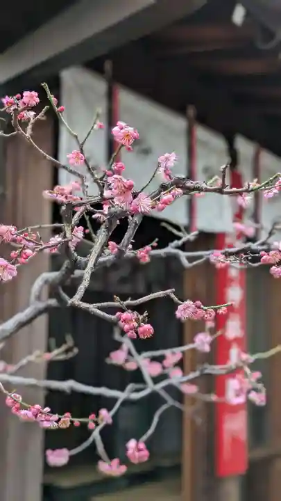 市比賣神社(京都府)