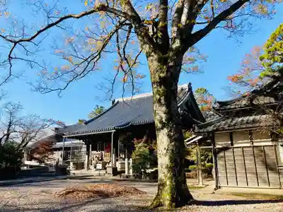 渡岸寺観音堂(向源寺)の本殿・本堂