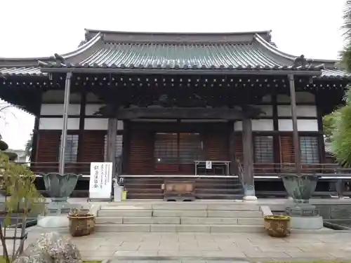 徳願寺の本殿・本堂