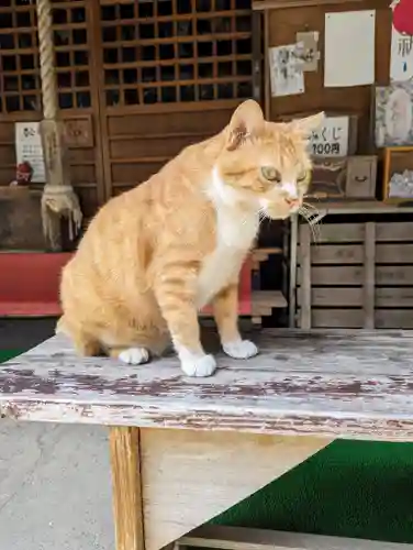 縣主神社(岡山県)