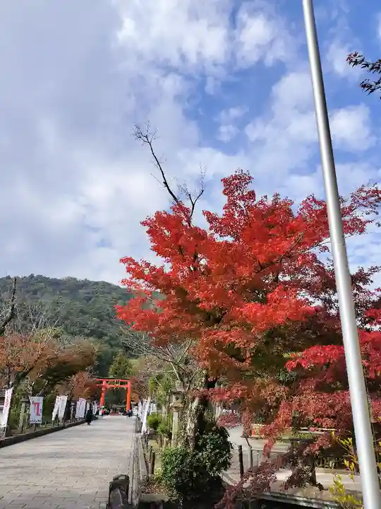 松尾大社(京都府)