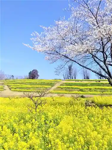 祐徳稲荷神社の景色