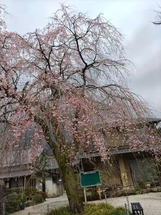 寳積寺(岐阜県)
