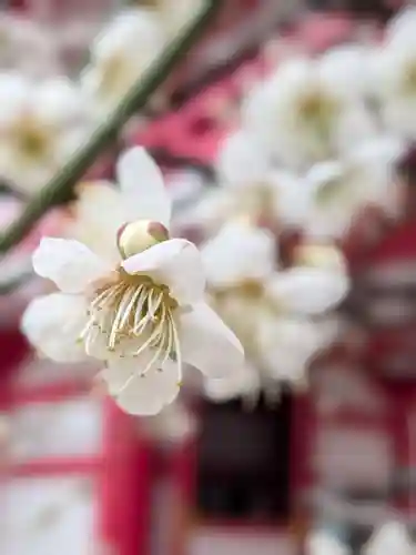 成子天神社(東京都)
