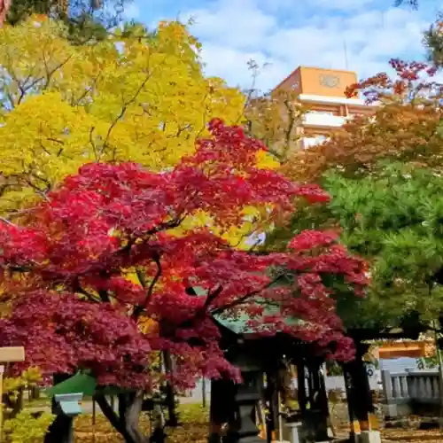 彌彦神社　(伊夜日子神社)(北海道)