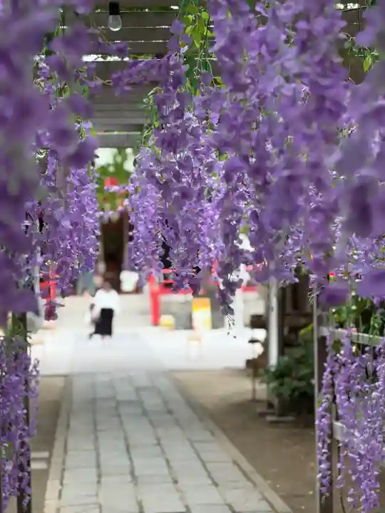 越谷香取神社の{uncategorized: "未分類", other: "その他", undefined: "問題あり", building: "その他建物", grave: "お墓", sacred_gate: "鳥居", guardian: "狛犬", statue: "像", buddha: "仏像", history: "歴史", nature: "自然", garden: "庭園", animal: "動物", pagoda: "塔", temizu: "手水舎", mountain_gate: "山門・神門", sanctuary: "本殿・本堂", subordinate: "末社・摂社", art: "芸術", scenery: "景色", jizo: "地蔵", ema: "絵馬", goshuin: "御朱印", omikuji: "おみくじ", items: "授与品その他", amulet: "お守り", goshuincho: "御朱印帳", eats: "食事", festival: "お祭り", votive_dance: "神楽", shichigosan: "七五三参", wedding: "結婚式", experience: "体験その他", initially: "初詣", around: "周辺", anti_infection: "感染症対策"}