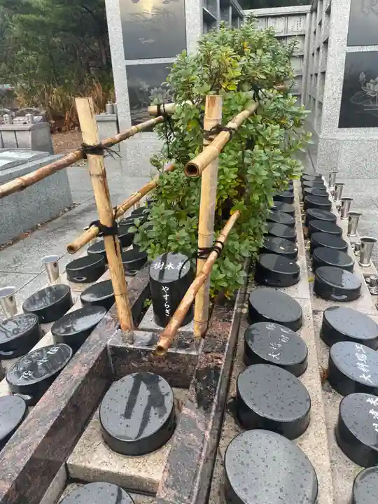 国上寺(新潟県)