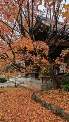 勝林寺(京都府)