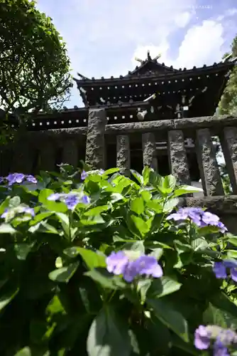 白山神社(東京都)