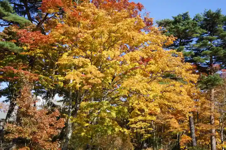 日光東照宮(栃木県)