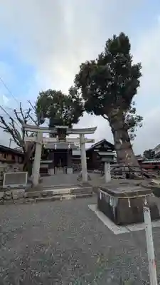 日吉御田神社(滋賀県)