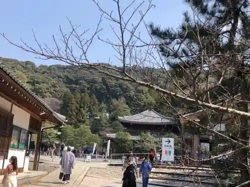 知恩院(京都府)