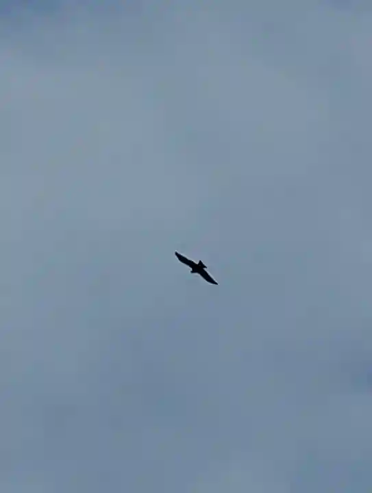 宗龍寺(長野県)