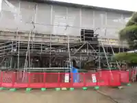 葛井寺(大阪府)