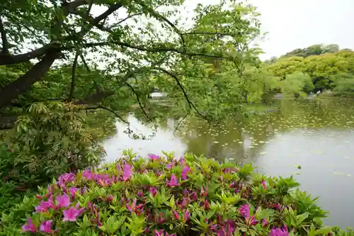 鶴岡八幡宮の庭園