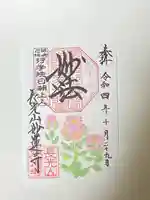 妙蓮寺の御朱印