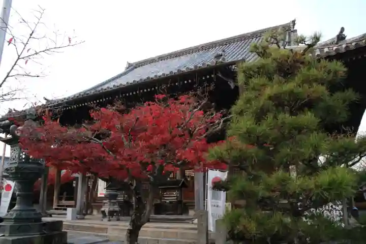 穴太寺の本殿・本堂