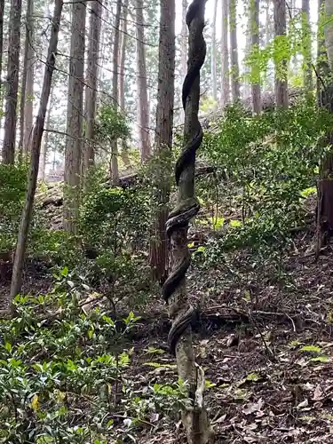 龍華寺(広島県)
