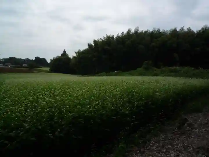 神田山延命院の周辺