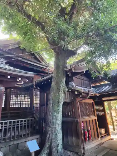 本土神社の自然
