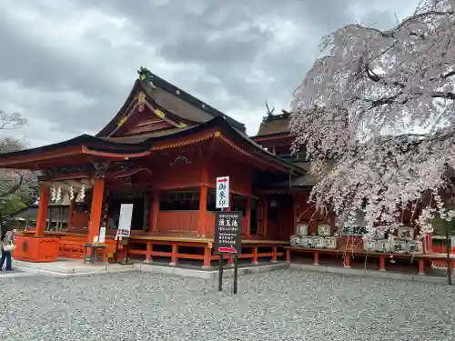 富士山本宮浅間大社の本殿