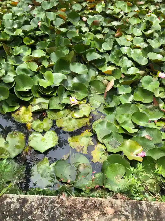 鶴林寺(兵庫県)