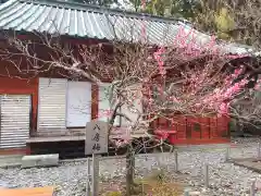 久能山東照宮(静岡県)