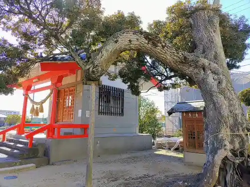 城向稲荷社の自然