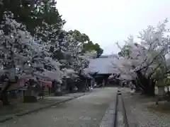 大樹寺（松安院大樹寺）の建物その他