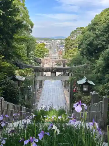 宮地嶽神社(福岡県)