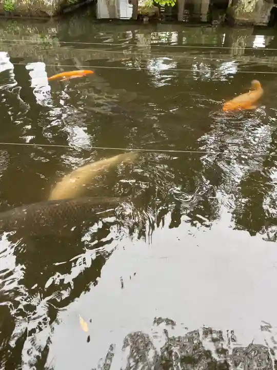 鹿嶋神社(福島県)