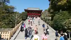 鶴岡八幡宮の山門