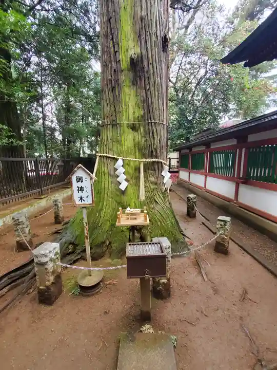 一言主神社の自然