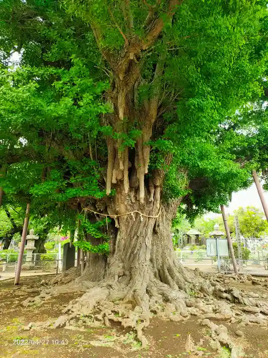千葉寺(千葉県)