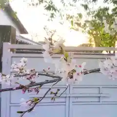 尾張大國霊神社（国府宮）の自然