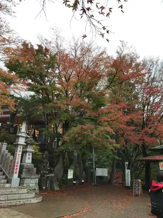 大山阿夫利神社の景色