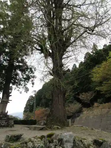杖杉庵(徳島県)