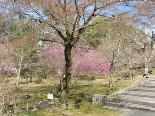 仁和寺(京都府)