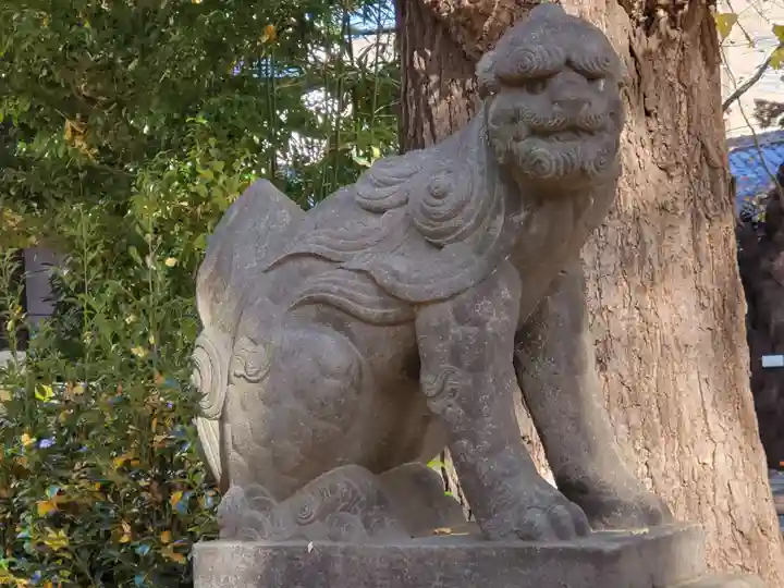 駒込天祖神社の狛犬